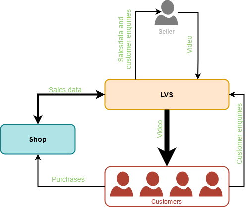 LVS